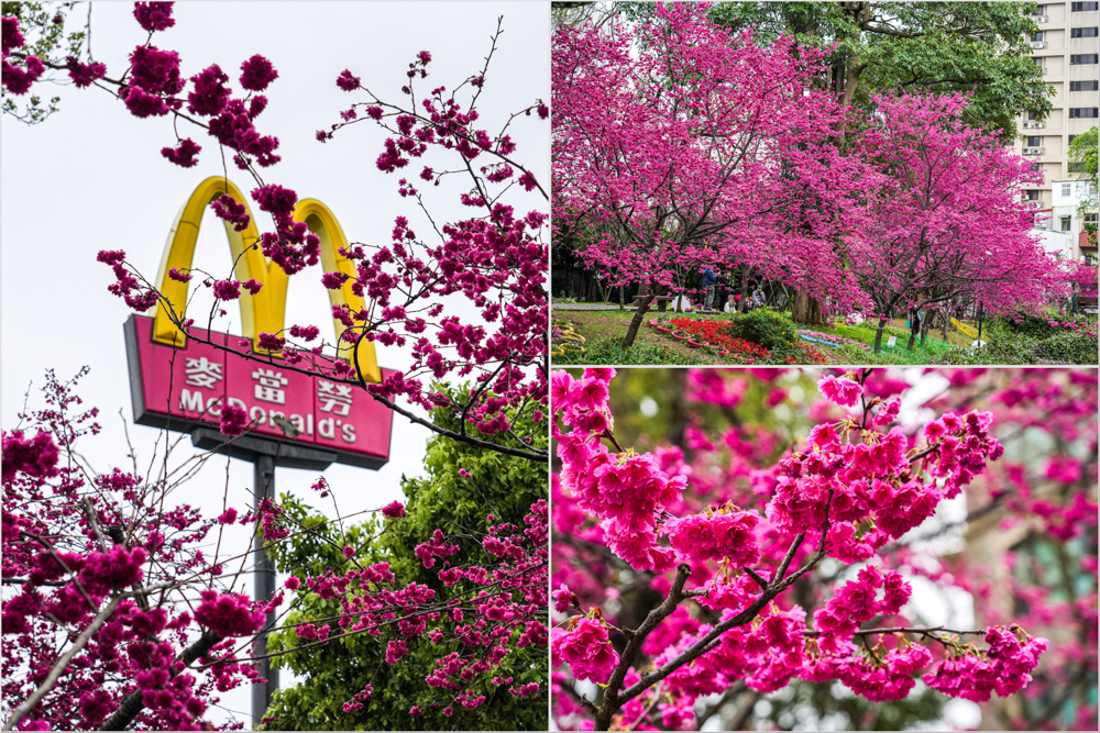 中壢｜Oh!Yaki日式精緻炭火燒肉(中壢店)．新竹人氣吃到飽比臉大安格斯牛排$599任你吃/燒烤吃到飽/中壢宵夜燒烤/啤酒無限暢飲 @Panda's paradise