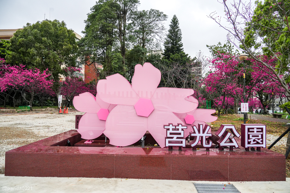 桃園中壢｜賞櫻景點推薦！莒光公園八重櫻盛開，白天夜晚都浪漫～ @Panda's paradise