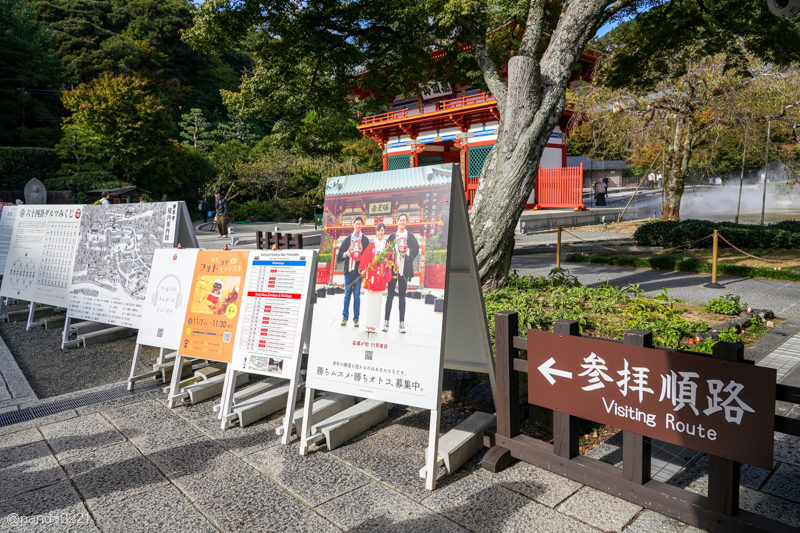 日本旅遊｜勝尾寺．滿寺達摩不倒翁，超壯觀！公車直達交通攻略~ @Panda&#039;s paradise