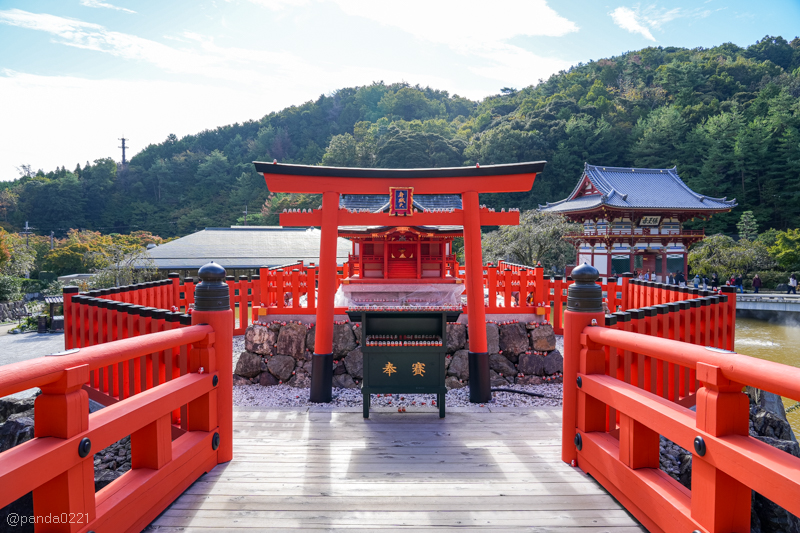 日本旅遊｜勝尾寺．滿寺達摩不倒翁，超壯觀！公車直達交通攻略~ @Panda&#039;s paradise