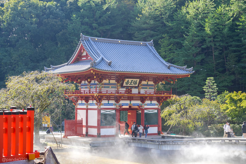 日本旅遊｜勝尾寺．滿寺達摩不倒翁，超壯觀！公車直達交通攻略~ @Panda&#039;s paradise