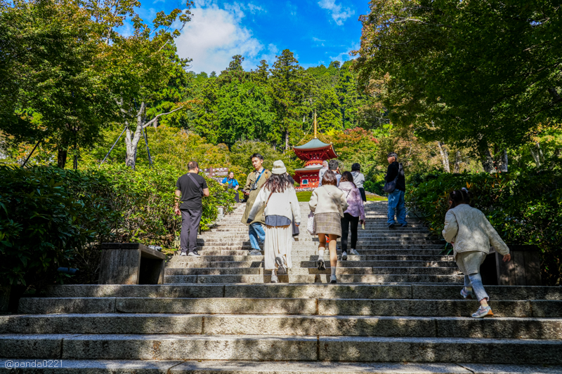 日本旅遊｜勝尾寺．滿寺達摩不倒翁，超壯觀！公車直達交通攻略~ @Panda&#039;s paradise