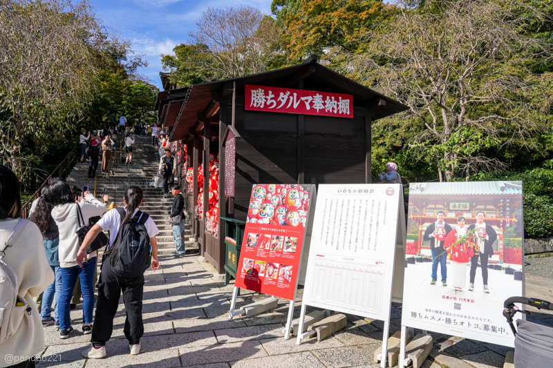 日本旅遊｜勝尾寺．滿寺達摩不倒翁，超壯觀！公車直達交通攻略~ @Panda&#039;s paradise