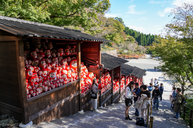 日本旅遊｜勝尾寺．滿寺達摩不倒翁，超壯觀！公車直達交通攻略~ @Panda&#039;s paradise