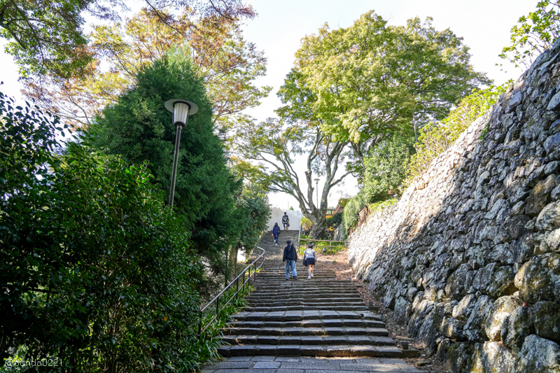 日本旅遊｜勝尾寺．滿寺達摩不倒翁，超壯觀！公車直達交通攻略~ @Panda&#039;s paradise