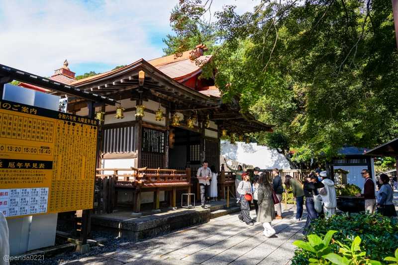 日本旅遊｜勝尾寺．滿寺達摩不倒翁，超壯觀！公車直達交通攻略~ @Panda&#039;s paradise