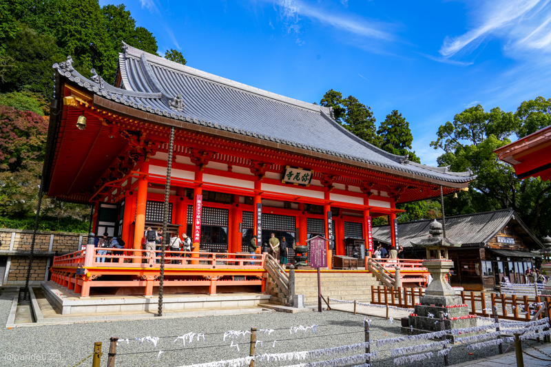 日本旅遊｜勝尾寺．滿寺達摩不倒翁，超壯觀！公車直達交通攻略~ @Panda&#039;s paradise