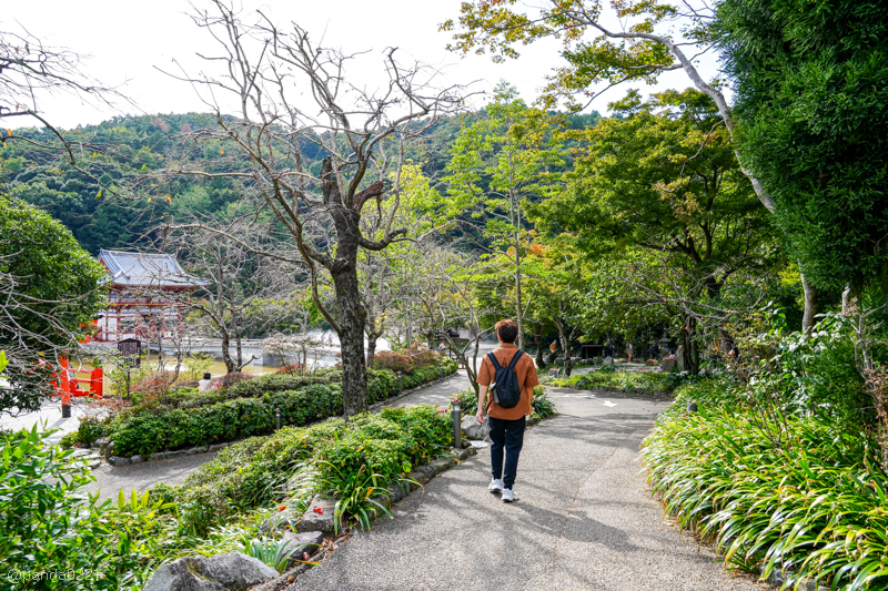 日本旅遊｜勝尾寺．滿寺達摩不倒翁，超壯觀！公車直達交通攻略~ @Panda&#039;s paradise