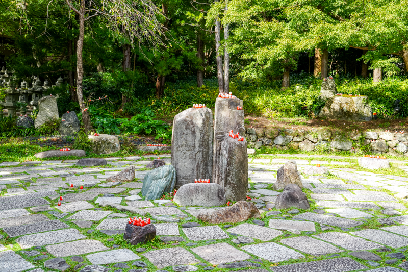 日本旅遊｜勝尾寺．滿寺達摩不倒翁，超壯觀！公車直達交通攻略~ @Panda&#039;s paradise