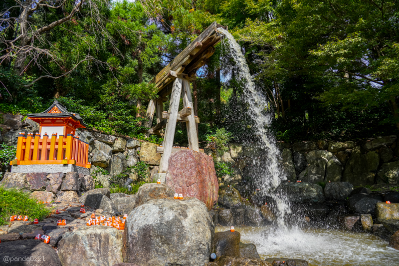 日本旅遊｜勝尾寺．滿寺達摩不倒翁，超壯觀！公車直達交通攻略~ @Panda&#039;s paradise