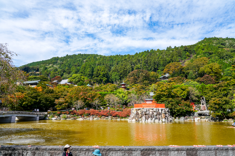 日本旅遊｜勝尾寺．滿寺達摩不倒翁，超壯觀！公車直達交通攻略~ @Panda&#039;s paradise