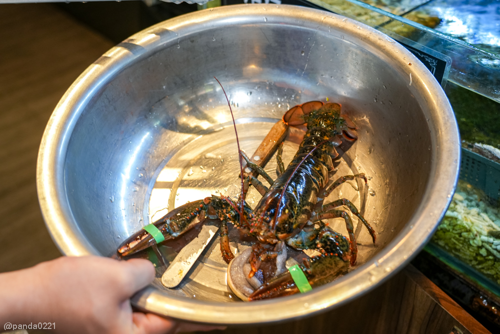 新北板橋｜軒妮士鐵板燒．228元起自助吧吃到飽，平價雙人套餐、海陸全餐、高級龍蝦和牛任選～ @Panda&#039;s paradise