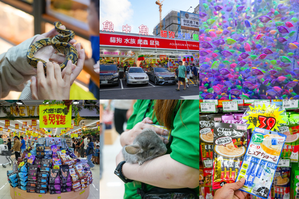 桃園中壢｜豆豆甜咖啡商行 DoDolce Coffee．釣具店老屋改造的巷弄咖啡館！ @Panda&#039;s paradise