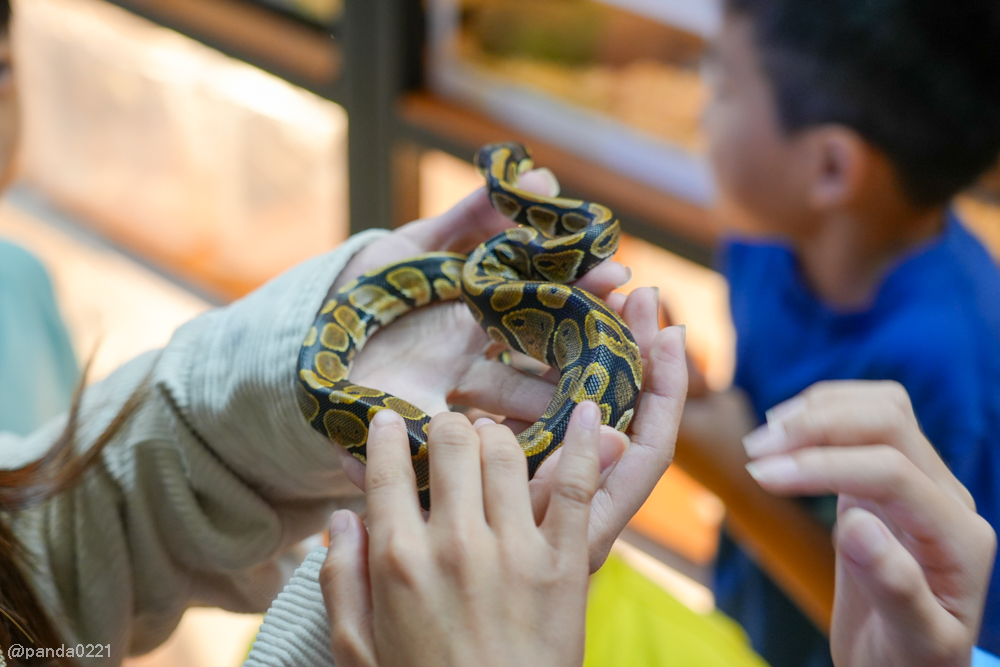 桃園｜魚中魚貓狗水族大賣場-桃興店．全新24小時寵物用品旗艦店開幕！水族＋貓狗用品一次購足～ @Panda&#039;s paradise