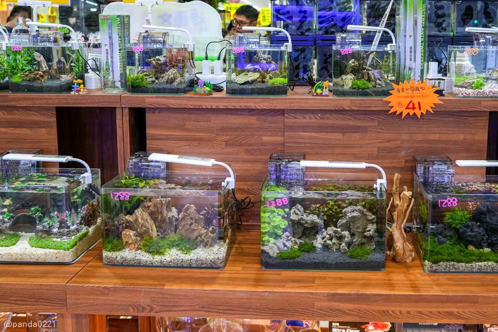 桃園｜魚中魚貓狗水族大賣場-桃興店．全新24小時寵物用品旗艦店開幕！水族＋貓狗用品一次購足～ @Panda&#039;s paradise