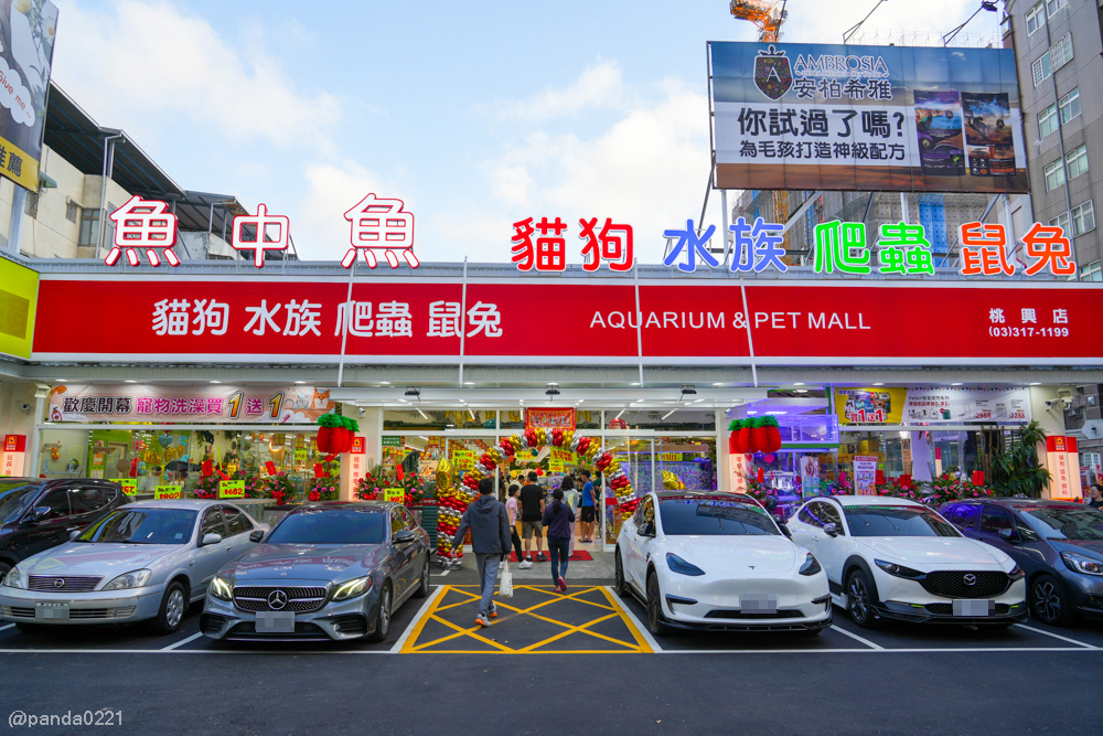 桃園｜魚中魚貓狗水族大賣場-桃興店．全新24小時寵物用品旗艦店開幕！水族＋貓狗用品一次購足～ @Panda&#039;s paradise