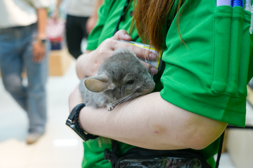 桃園｜魚中魚貓狗水族大賣場-桃興店．全新24小時寵物用品旗艦店開幕！水族＋貓狗用品一次購足～ @Panda&#039;s paradise