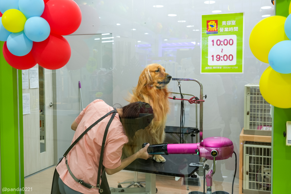 桃園｜魚中魚貓狗水族大賣場-桃興店．全新24小時寵物用品旗艦店開幕！水族＋貓狗用品一次購足～ @Panda&#039;s paradise