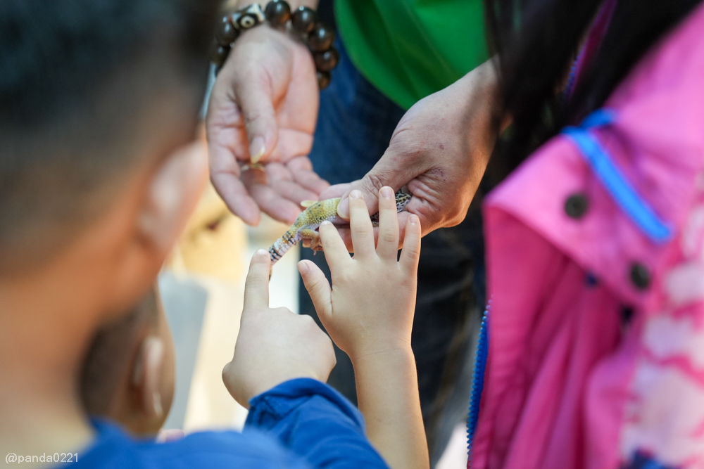 桃園｜魚中魚貓狗水族大賣場-桃興店．全新24小時寵物用品旗艦店開幕！水族＋貓狗用品一次購足～ @Panda&#039;s paradise