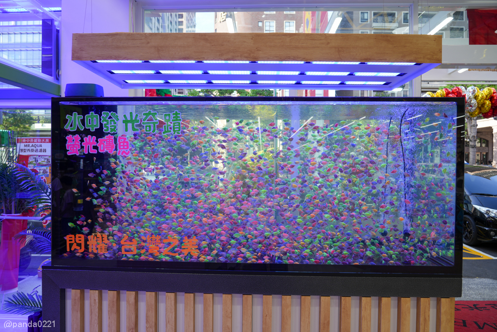 桃園｜魚中魚貓狗水族大賣場-桃興店．全新24小時寵物用品旗艦店開幕！水族＋貓狗用品一次購足～ @Panda&#039;s paradise