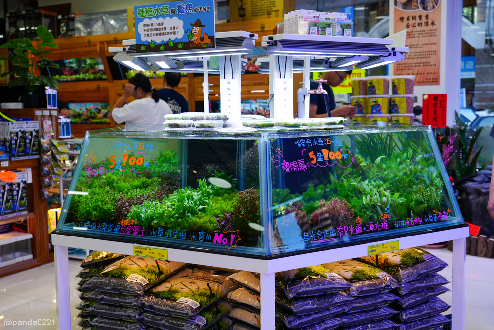 桃園｜魚中魚貓狗水族大賣場-桃興店．全新24小時寵物用品旗艦店開幕！水族＋貓狗用品一次購足～ @Panda&#039;s paradise