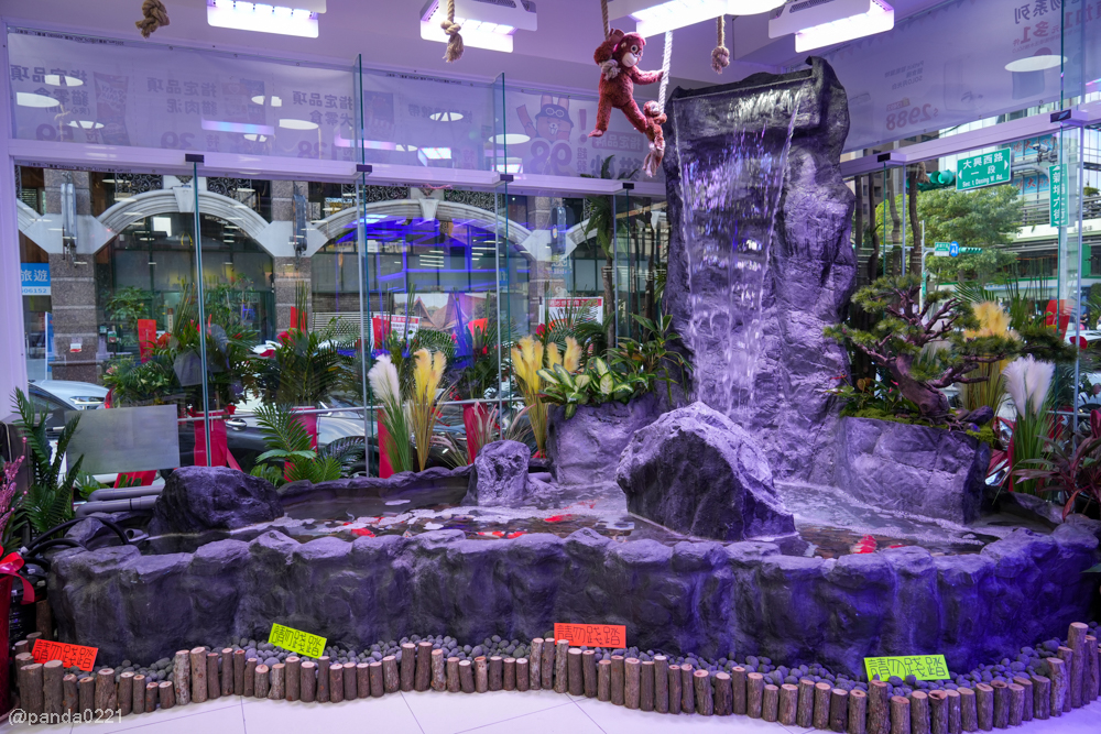 桃園｜魚中魚貓狗水族大賣場-桃興店．全新24小時寵物用品旗艦店開幕！水族＋貓狗用品一次購足～ @Panda&#039;s paradise