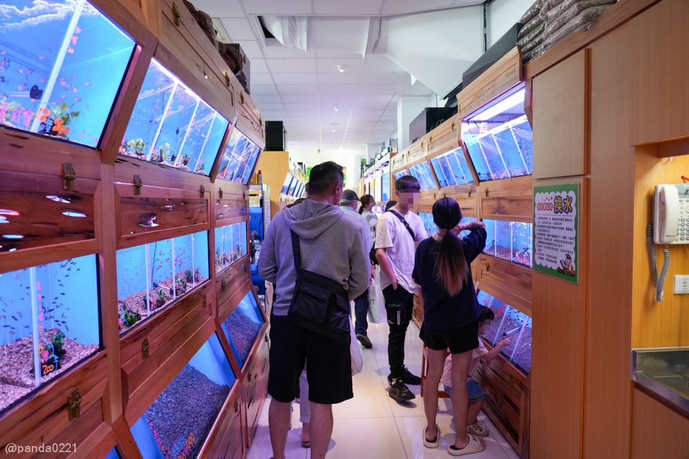 桃園｜魚中魚貓狗水族大賣場-桃興店．全新24小時寵物用品旗艦店開幕！水族＋貓狗用品一次購足～ @Panda&#039;s paradise