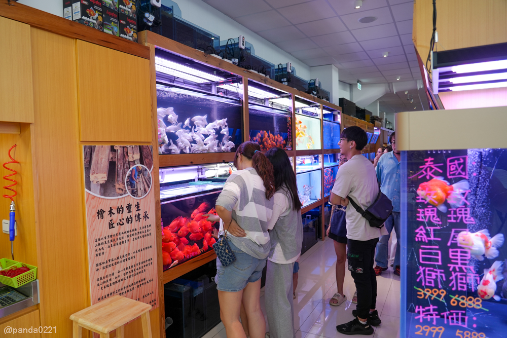 桃園｜魚中魚貓狗水族大賣場-桃興店．全新24小時寵物用品旗艦店開幕！水族＋貓狗用品一次購足～ @Panda&#039;s paradise