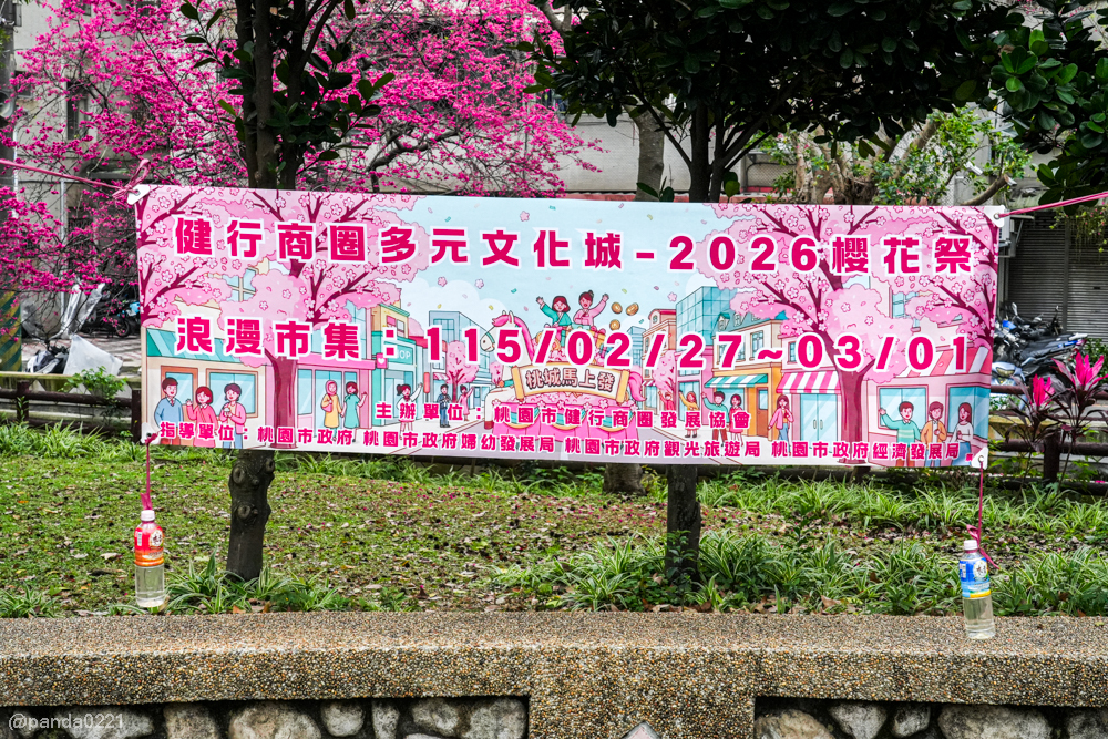 桃園中壢｜賞櫻景點推薦！莒光公園八重櫻盛開，白天夜晚都浪漫～ @Panda's paradise