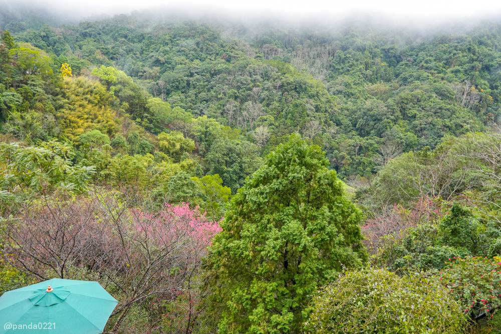 苗栗一日遊行程｜四方鮮乳酪、如意棧、桂花品、山行寄野民宿打卡、美食住宿分享 @Panda's paradise