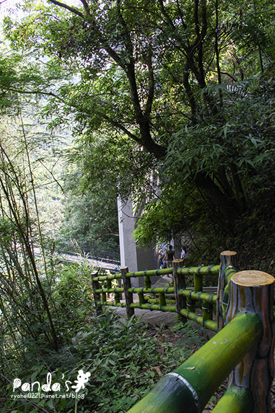復興｜義興吊橋．重溫賽德克．巴萊彩虹橋的祕境 @Panda&#039;s paradise