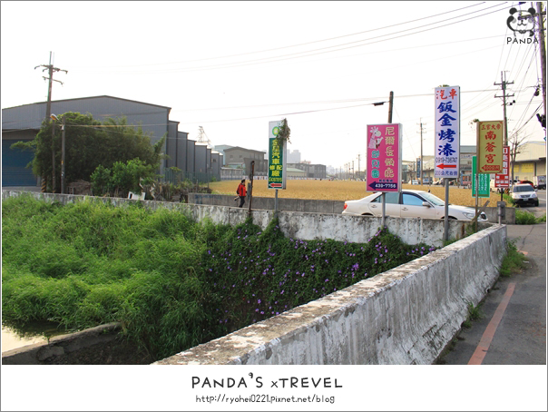 平鎮｜北台灣最美的金黃小麥田．季節限定景點 @Panda&#039;s paradise