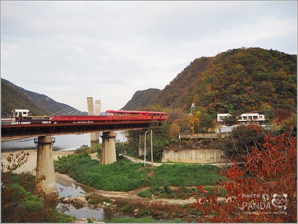 韓國旅遊｜首爾近郊一日遊．南怡島、小法國村、江村鐵路自行車 @Panda&#039;s paradise