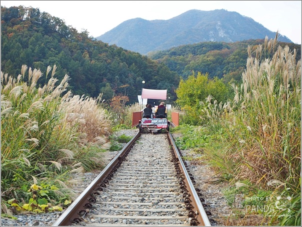 韓國旅遊｜首爾近郊一日遊．南怡島、小法國村、江村鐵路自行車 @Panda&#039;s paradise
